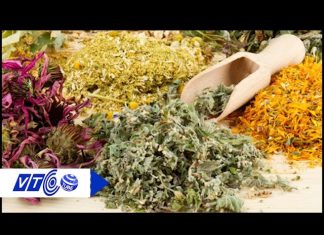 Bệnh sỏi thận chữa bằng thuốc nam an toàn, hết sỏi